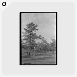 アートポストカード-Land Donation Sign
 - ラッセル リー Postcard.