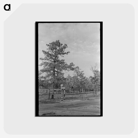 アートポストカード-Land Donation Sign
 - ラッセル リー Postcard.