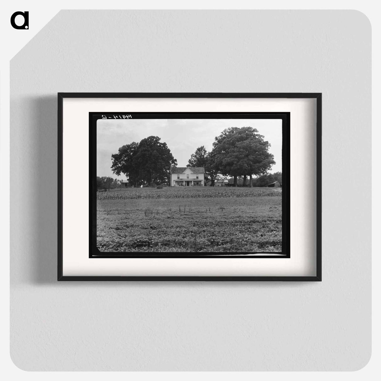 Prosperous farmer's house and farm landscape seen from the road - Dorothea Lange Poster.