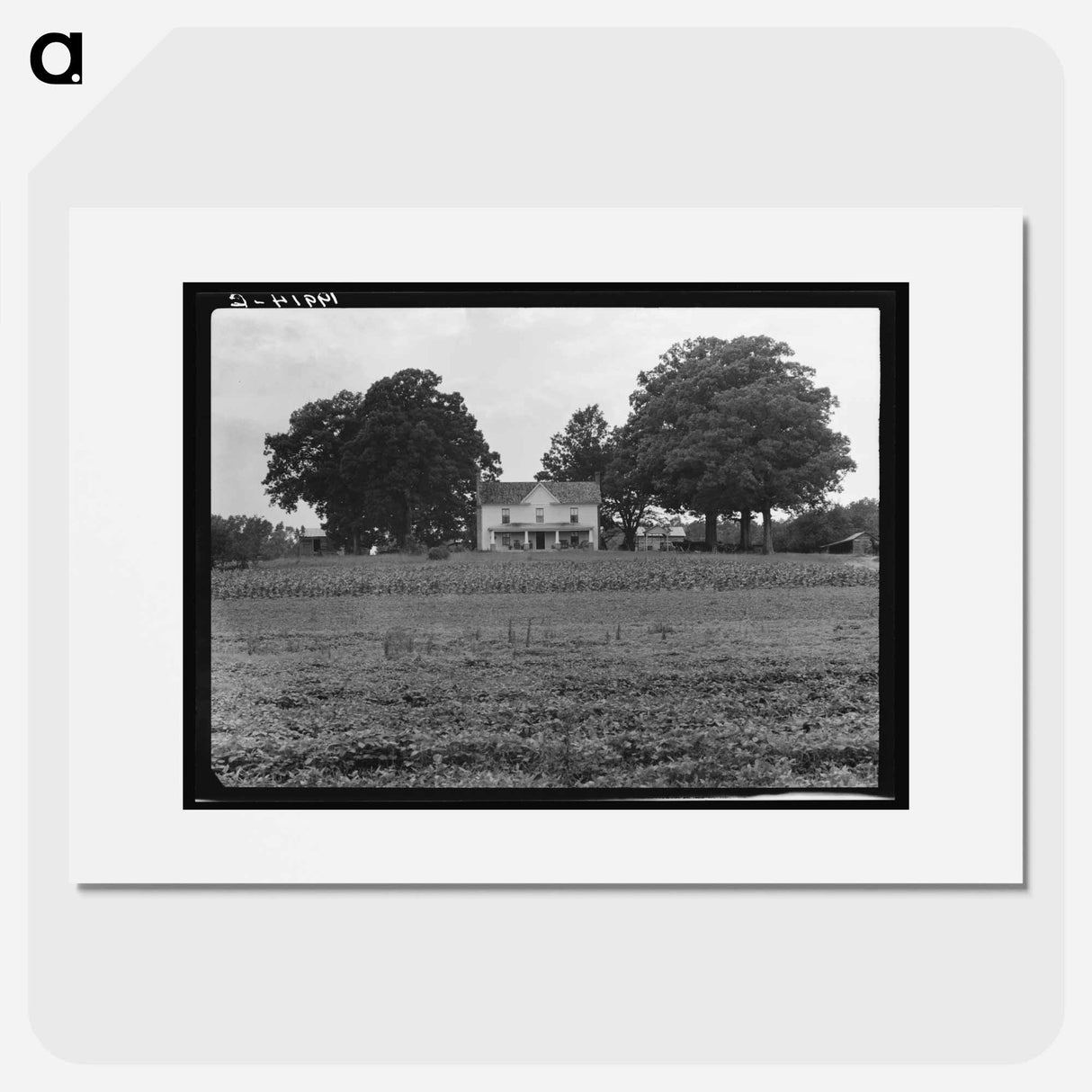 Prosperous farmer's house and farm landscape seen from the road - Dorothea Lange Poster.