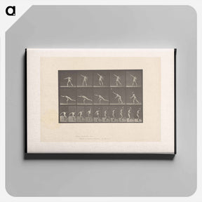 アートパネル-Man Throwing a Rock
 - エドワード マイブリッジ Canvas.