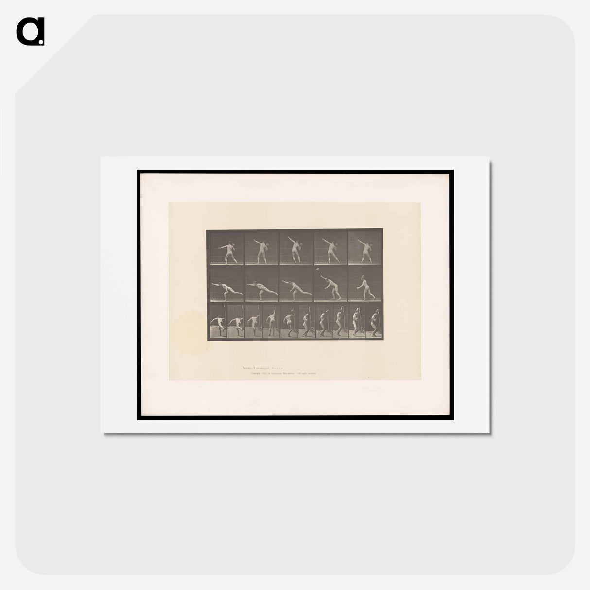 アートポストカード-Man Throwing a Rock
 - エドワード マイブリッジ Postcard.