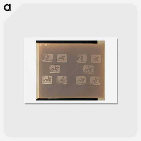 アートポストカード-Trotting
 - エドワード マイブリッジ Postcard.