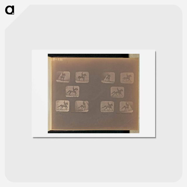 アートポストカード-Trotting
 - エドワード マイブリッジ Postcard.