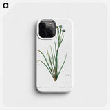 Bermudiana - ピエール ジョゼフ ルドゥーテ Phone Case.