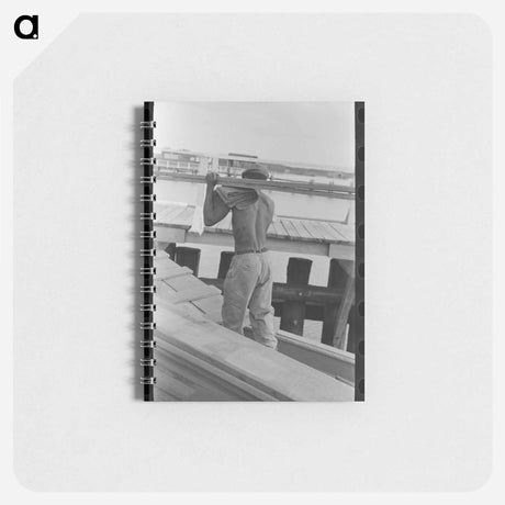アートメモ帳-Tillamook Dairy Cattle
 - ラッセル リー Memo.