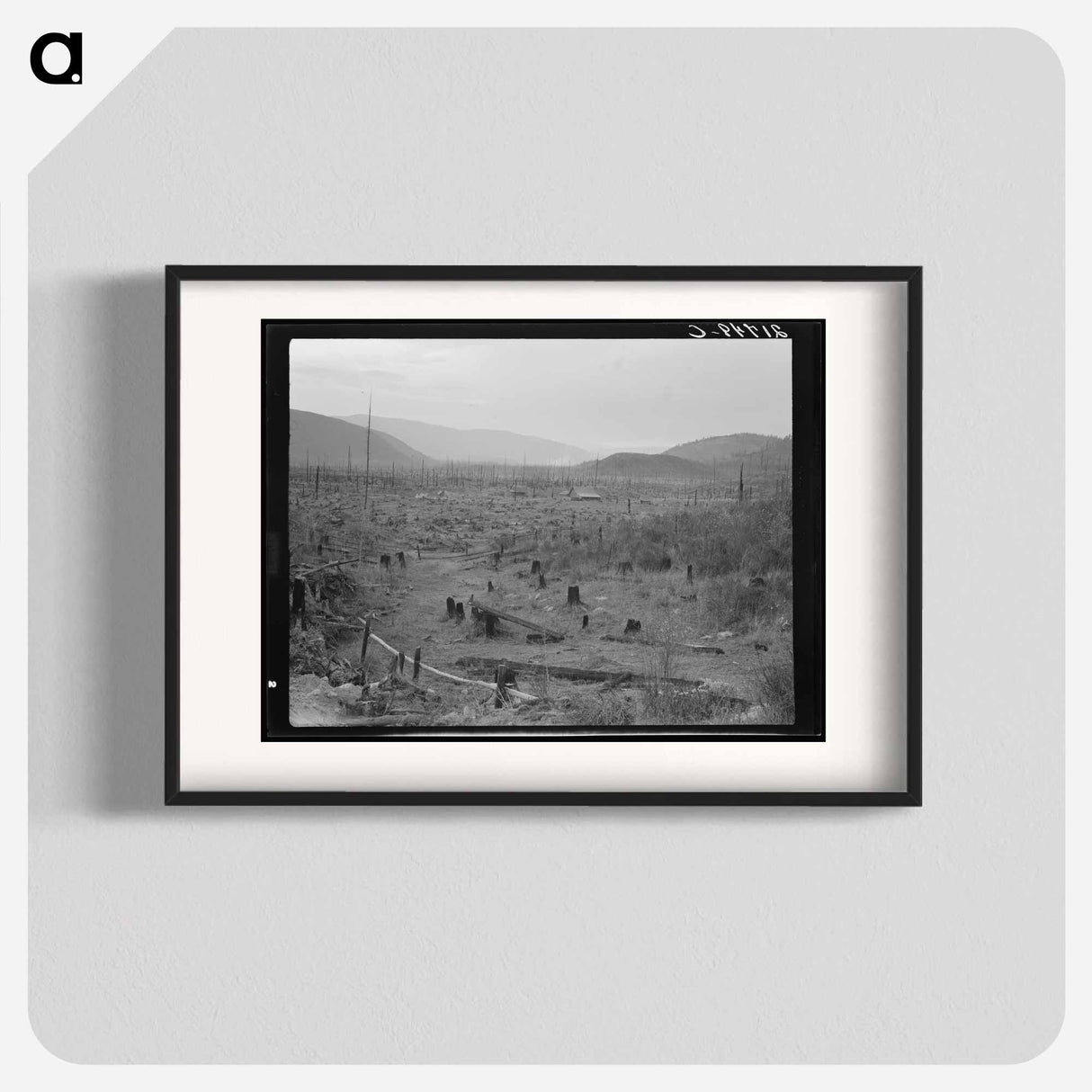 Another stump farm, fenced, showing general characteristics of the valley. Bonner County, Idaho. - Dorothea Lange Poster.