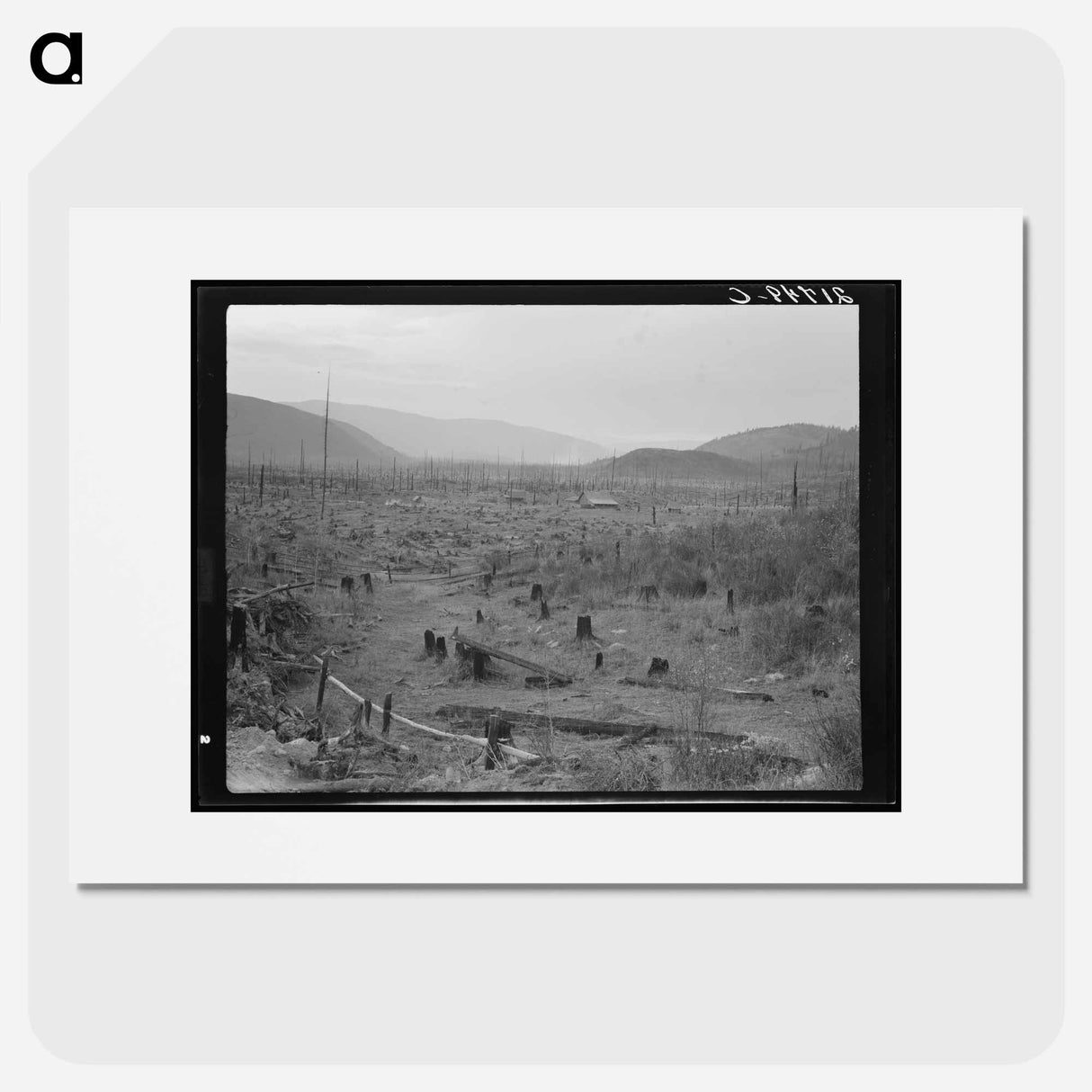 Another stump farm, fenced, showing general characteristics of the valley. Bonner County, Idaho. - Dorothea Lange Poster.