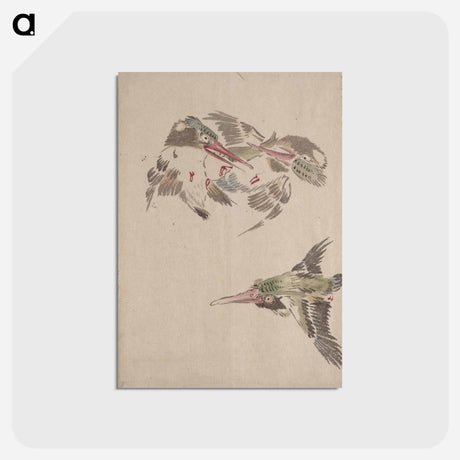 アートポストカード-Bird Album of Sketches by Katsushika Hokusai and His Disciples - 葛飾 北斎 Postcard.