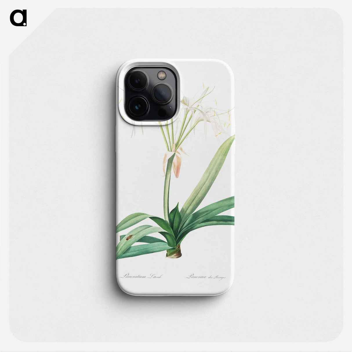 Pancratium littorale illustration - Pierre Joseph Redouté Phone Case.