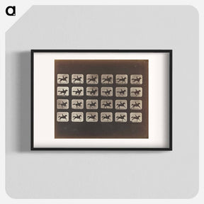アートポスター-Running (Galloping)
 - エドワード マイブリッジ Poster.