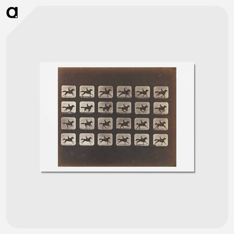 アートポストカード-Running (Galloping)
 - エドワード マイブリッジ Postcard.