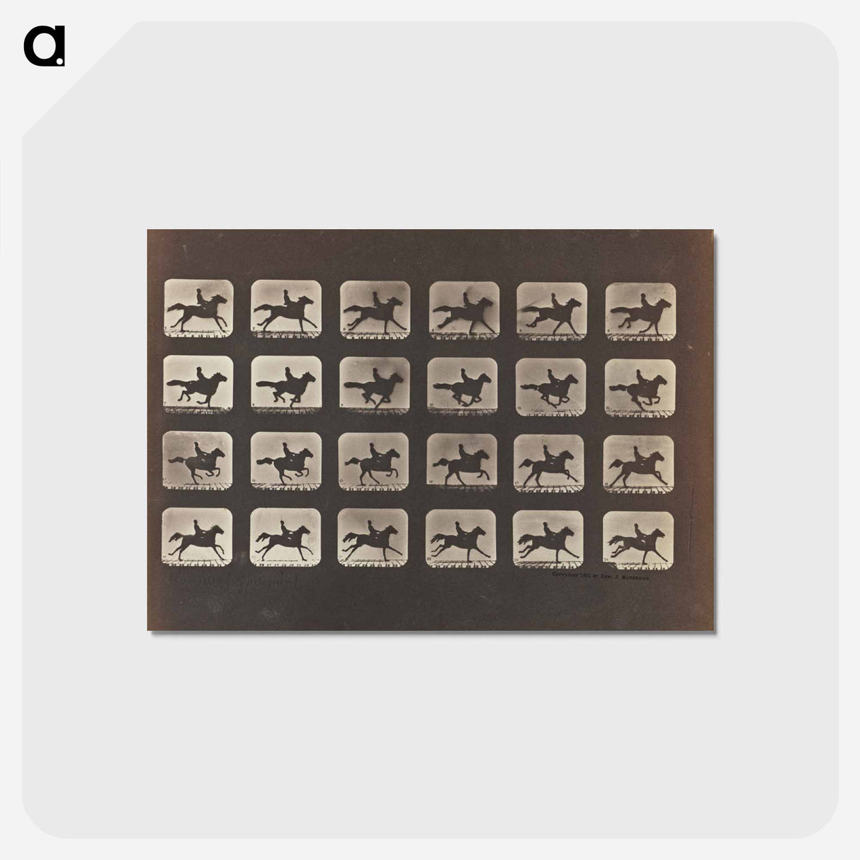 アートポストカード-Running (Galloping)
 - エドワード マイブリッジ Postcard.