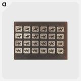 アートポストカード-Running (Galloping)
 - エドワード マイブリッジ Postcard.