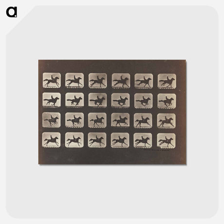アートポストカード-Running (Galloping)
 - エドワード マイブリッジ Postcard.