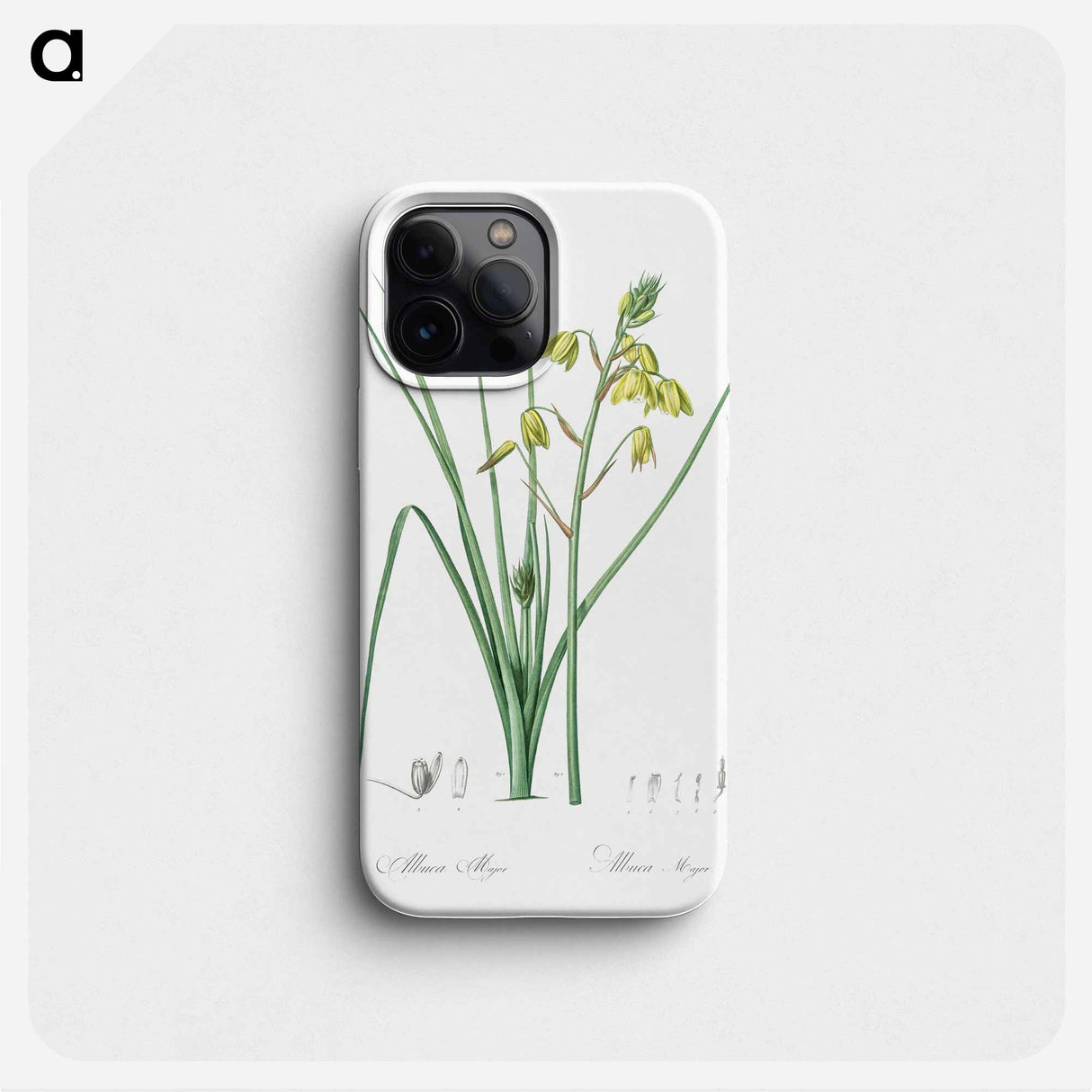 Slime Lily - Pierre Joseph Redouté Phone Case.