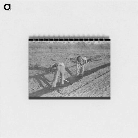 アートメモ帳-Bottling Milk at Creamery
 - ラッセル リー Memo.