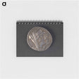 アートメモ帳-Cleopatra Thea and Antiochus VIII Tetradrachm
 - セントルイス美術館 Memo.