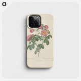 Rose illustration - Pierre Joseph Redouté Phone Case.