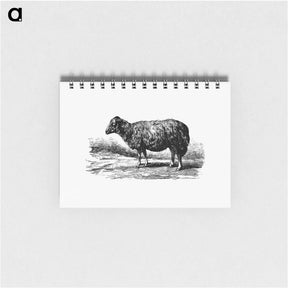 アートメモ帳-Sheep, In The Malakani Colony
 - 大英図書館 Memo.