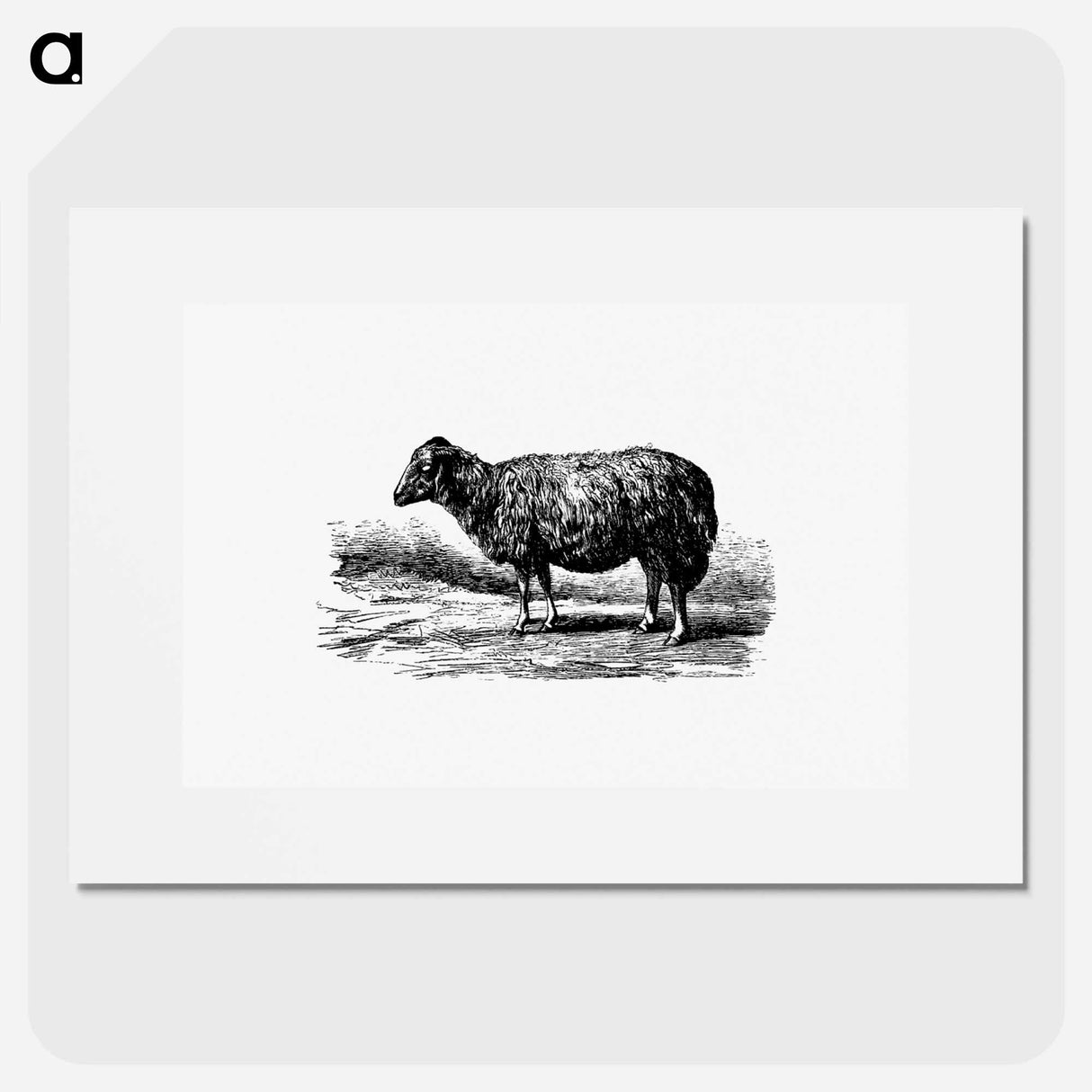 アートポスター-Sheep, In The Malakani Colony
 - 大英図書館 Poster.