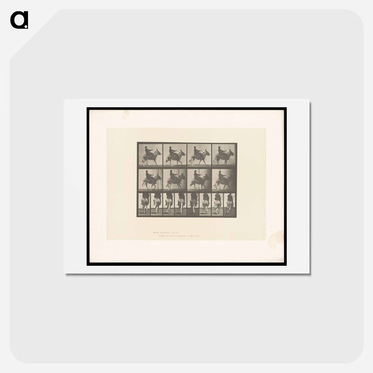 アートポストカード-Boy on Ass
 - エドワード マイブリッジ Postcard.