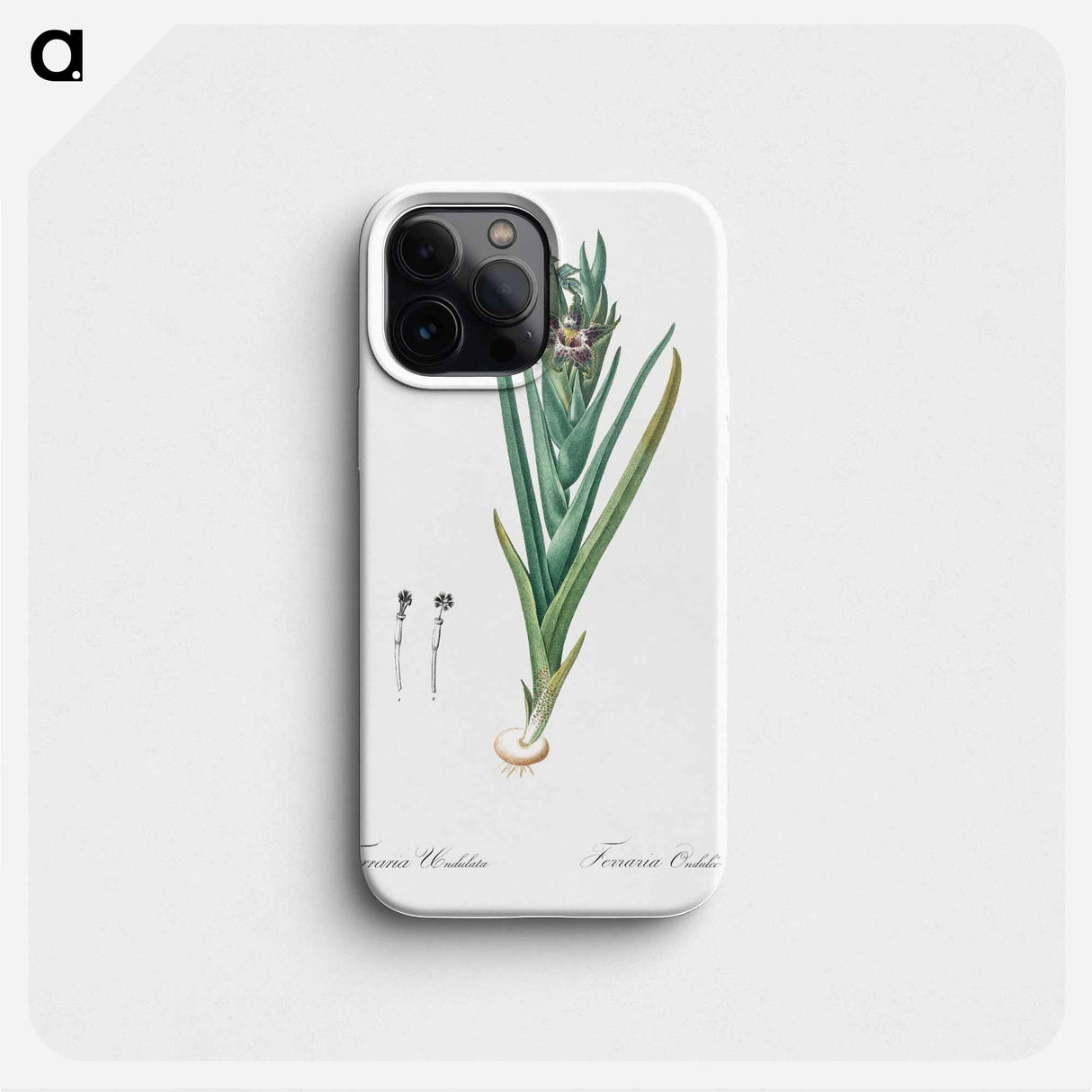 Ferraria - ピエール ジョゼフ ルドゥーテ Phone Case.