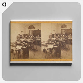 アートパネル-Toland Hall Dissecting Room
 - エドワード マイブリッジ Canvas.