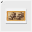 アートポストカード-Toland Hall Dissecting Room
 - エドワード マイブリッジ Postcard.