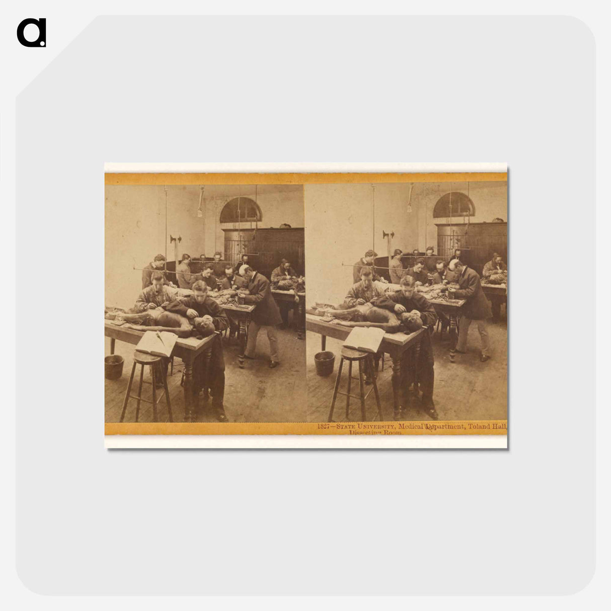 アートポストカード-Toland Hall Dissecting Room
 - エドワード マイブリッジ Postcard.