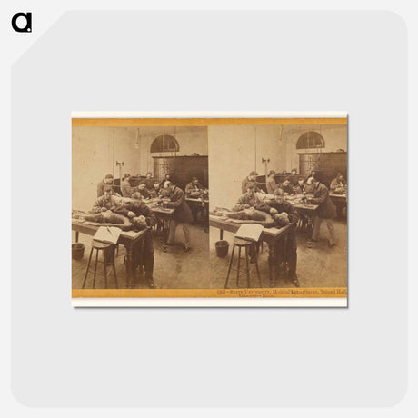 アートポストカード-Toland Hall Dissecting Room
 - エドワード マイブリッジ Postcard.