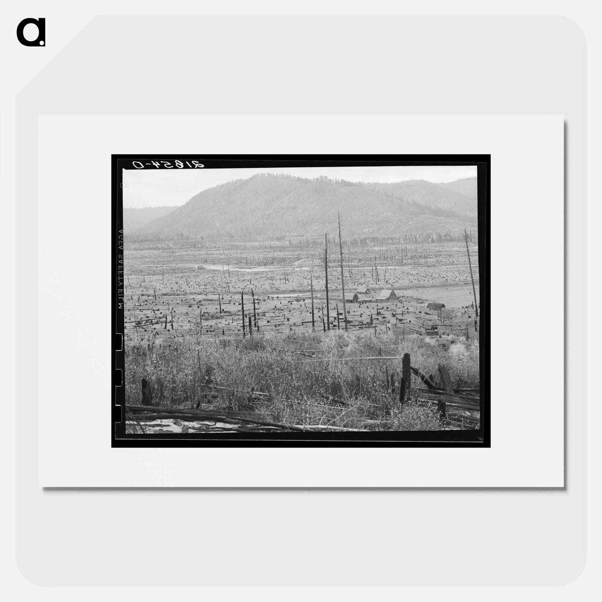 Looking down the Priest River Valley - Dorothea Lange Poster.