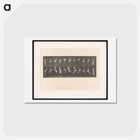 アートポストカード-Gymnast on Rings
 - エドワード マイブリッジ Postcard.