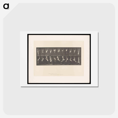 アートポストカード-Gymnast on Rings
 - エドワード マイブリッジ Postcard.