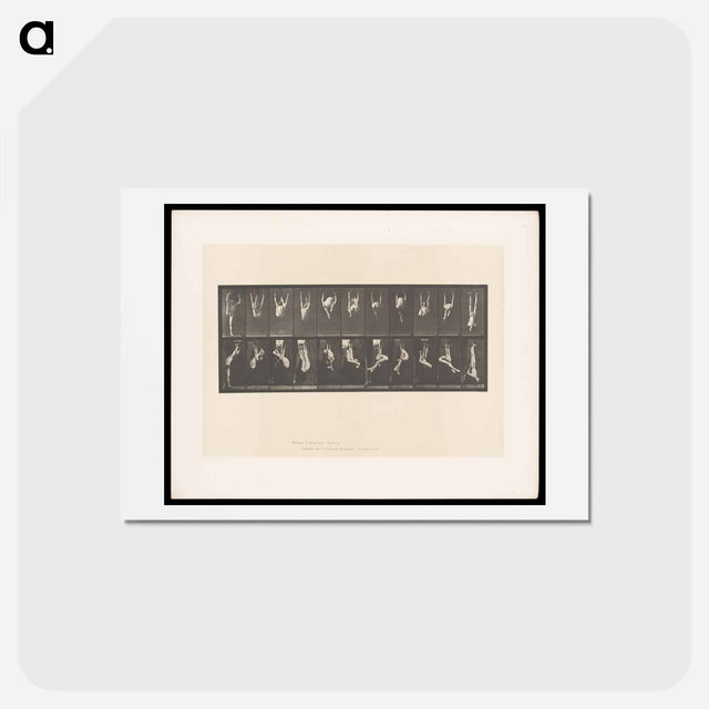 アートポストカード-Gymnast on Rings
 - エドワード マイブリッジ Postcard.