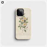 Rose illustration - Pierre Joseph Redouté Phone Case.