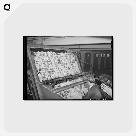 アートポストカード-Wool Scouring Plant
 - ラッセル リー Postcard.