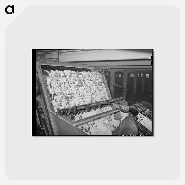アートポストカード-Wool Scouring Plant
 - ラッセル リー Postcard.