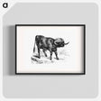 アートポスター-Bull from Portuguese Expedition To Muatianvua
 - 大英図書館 Poster.