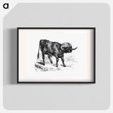アートポスター-Bull from Portuguese Expedition To Muatianvua
 - 大英図書館 Poster.