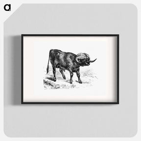 アートポスター-Bull from Portuguese Expedition To Muatianvua
 - 大英図書館 Poster.