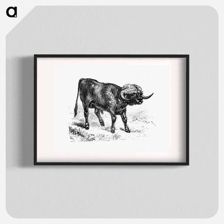 アートポスター-Bull from Portuguese Expedition To Muatianvua
 - 大英図書館 Poster.
