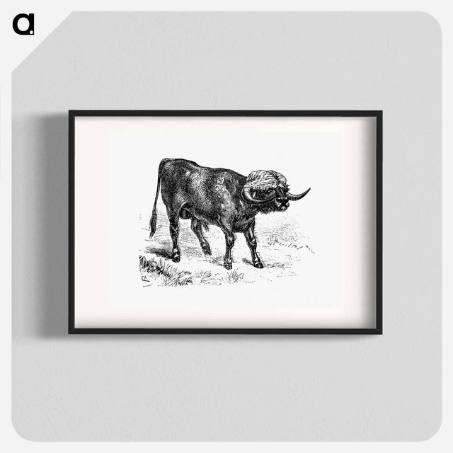 アートポスター-Bull from Portuguese Expedition To Muatianvua
 - 大英図書館 Poster.
