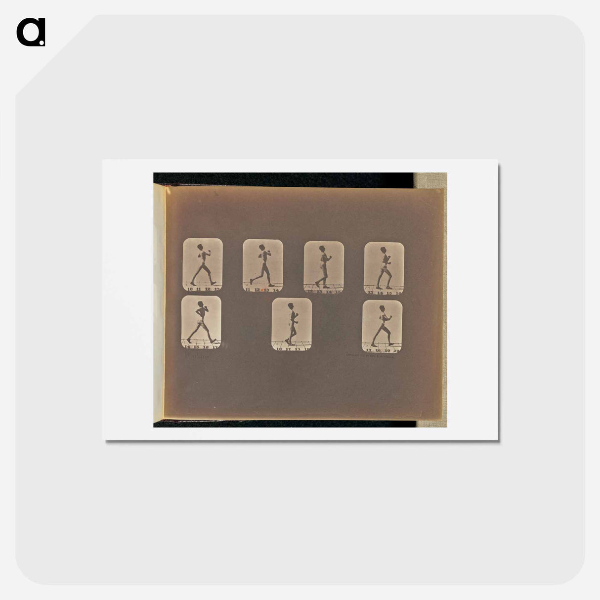 アートポストカード-Walking
 - エドワード マイブリッジ Postcard.