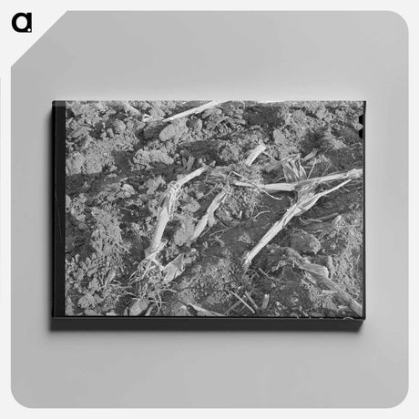 アートパネル-William Besson with a Dip Needle
 - ラッセル リー Canvas.