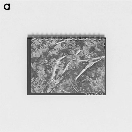 アートメモ帳-William Besson with a Dip Needle
 - ラッセル リー Memo.
