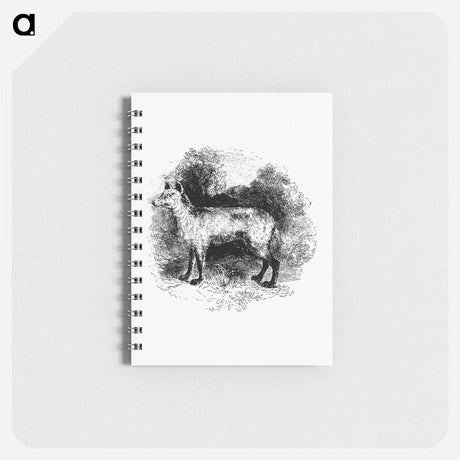 アートメモ帳-Mountain Fox
 - 大英図書館 Memo.