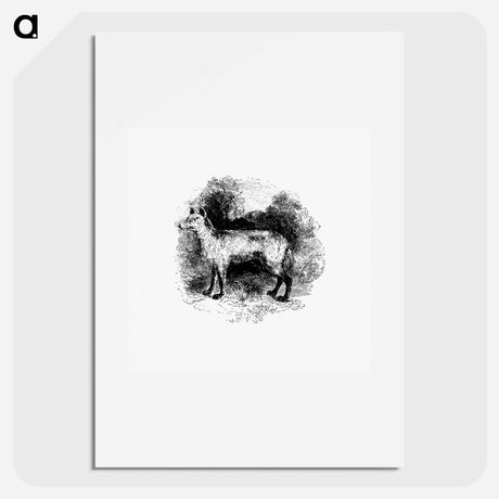 アートポスター-Mountain Fox
 - 大英図書館 Poster.