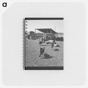アートメモ帳-Untitled photo - ドロテア ラング Memo.