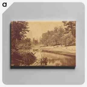 アートパネル-Sylvan Bar. Valley of the Yosemite
 - エドワード マイブリッジ Canvas.
